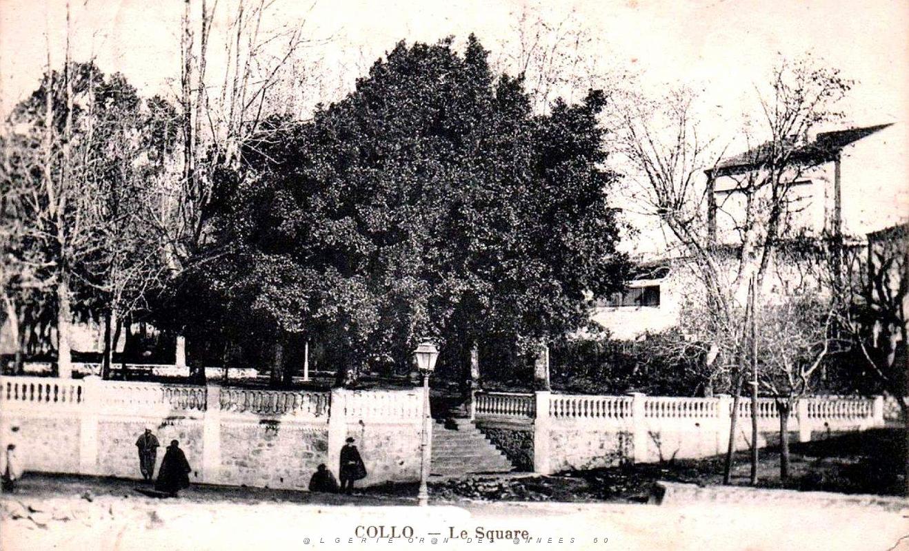 Collo - Square.jpg
